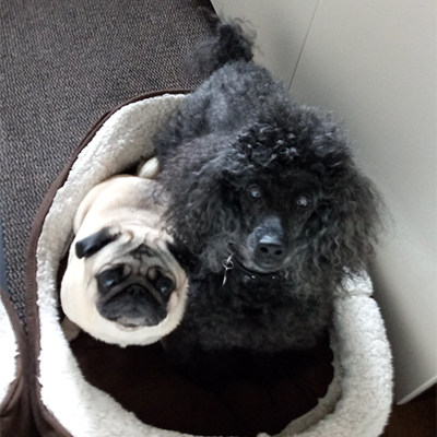 Barney and Travis in Kitchen