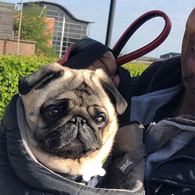Barney being Carried by Carlton in a dog carrier